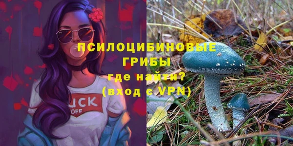 герыч Алзамай